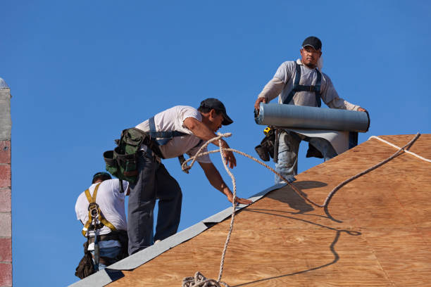 Best Metal Roofing Contractor  in Swansea, IL