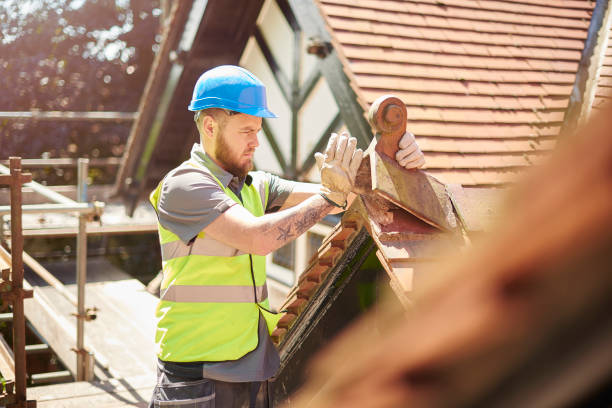 Roof Gutter Cleaning in Swansea, IL