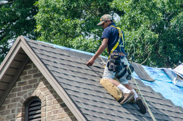Best Shingle Roofing Installation  in Swansea, IL