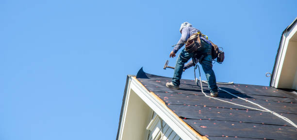 Best Flat Roof Repair Services  in Swansea, IL